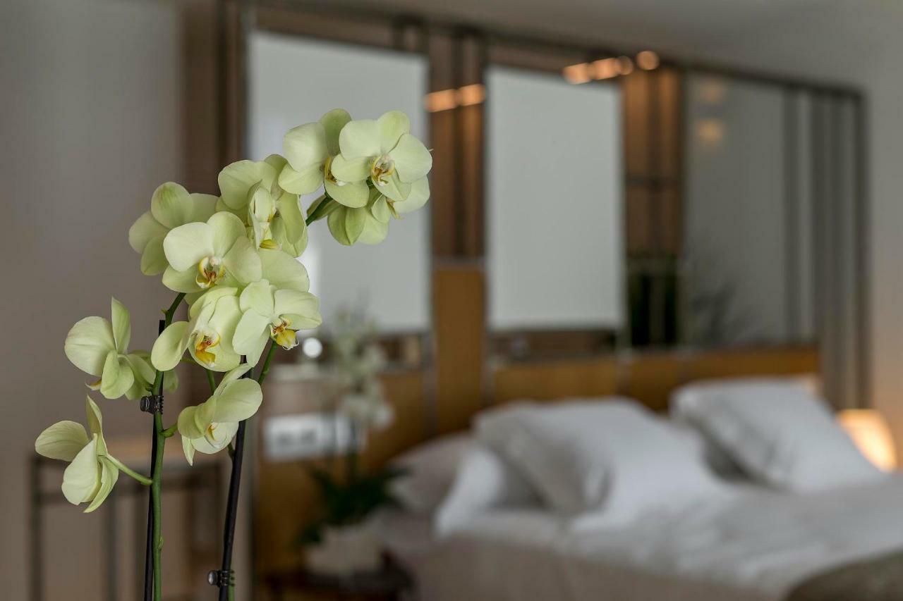Vinatea Suites Morella Exteriér fotografie